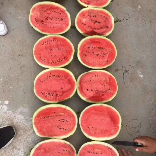 甜王西瓜  精品西瓜：优质绿色西瓜，庆红999,林丰666,