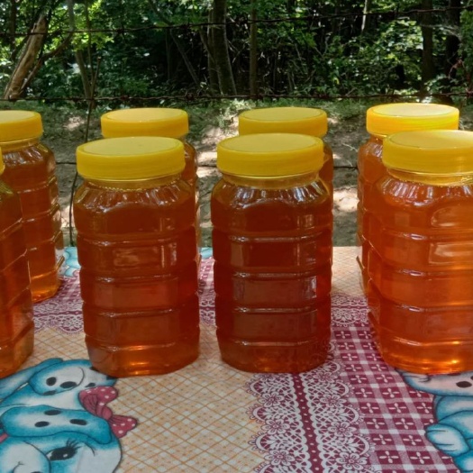 郑州 原始森林正宗土蜂蜜