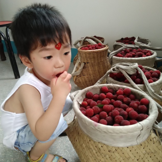 靖州县靖州杨梅 靖州乌梅，四斤装，48粒蛋托装4蛋托真空顺丰湖南省内包邮