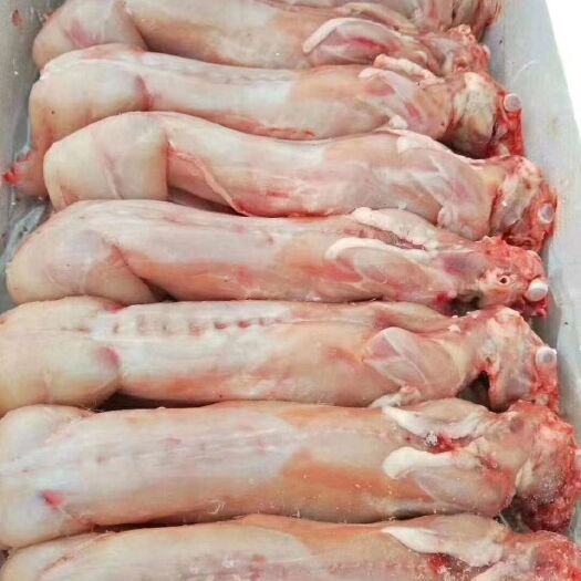 亳州 新鲜兔肉