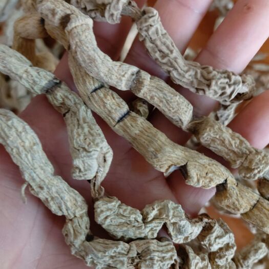 肇庆广东肇庆高要巴戟中药材根茎类批发干货巴戟天鸡肠风