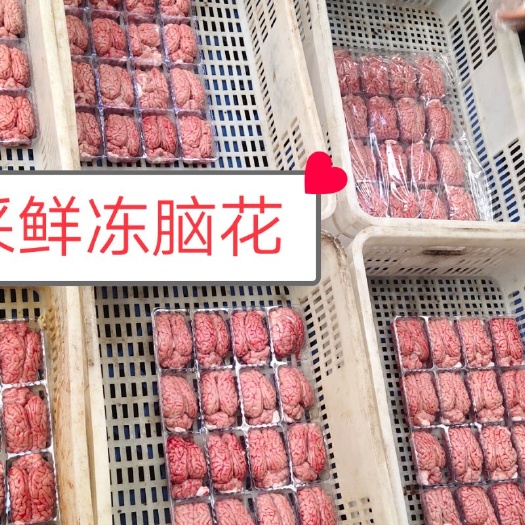 猪脑  冻脑花