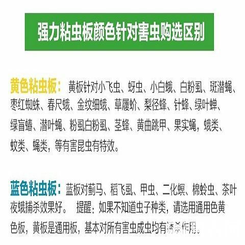 双面加厚覆膜防水强力诱虫板大棚果园茶园粘蚜虫飞虫蓟马粘虫板