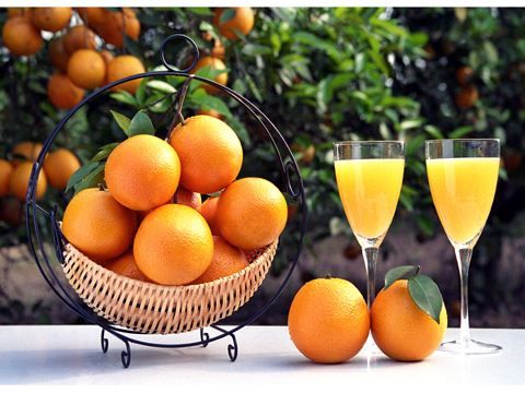 夏橙  助力湖北九月红伦晚脐橙