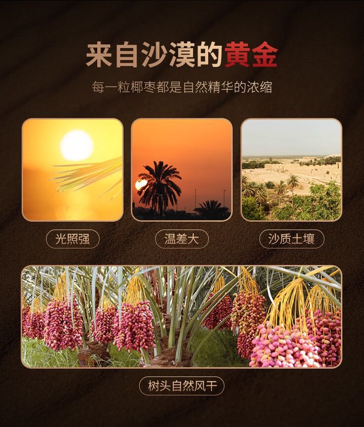 新货伊拉克特产黄金椰枣500g包邮大颗粒黑椰枣批发