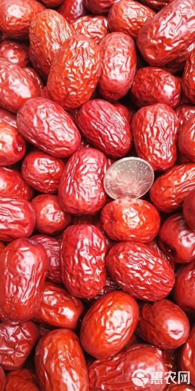 新疆红枣红枣加工厂供应肉厚核小价格低