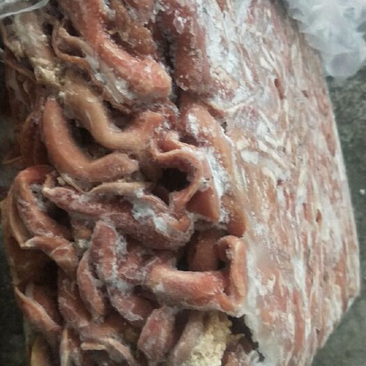 平凉牛舌 牛产品全套