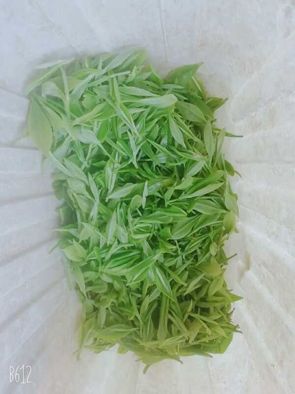 野生绿茶 龙顶茶