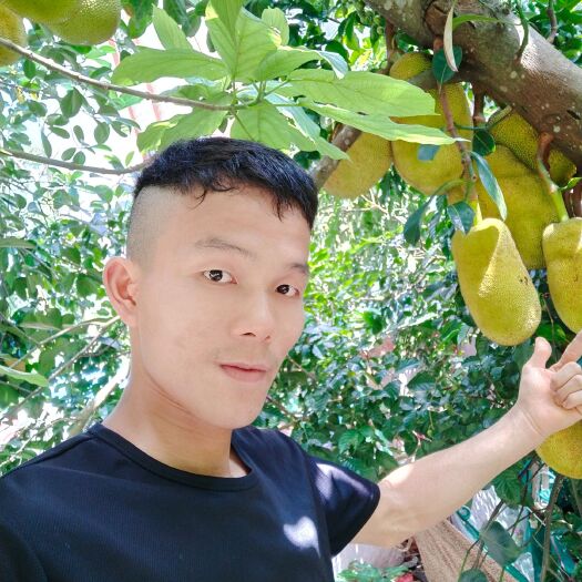 阳江 家里种得【天然菠萝蜜】下单走起？98元包邮每个15斤