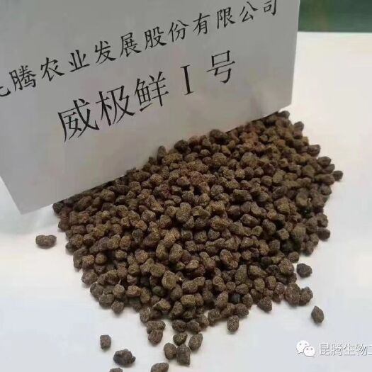 青州市 颗粒水溶肥，微生物有机海藻肥