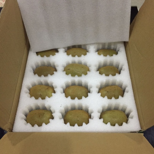 武汉塑料包装盒 猕猴桃包装