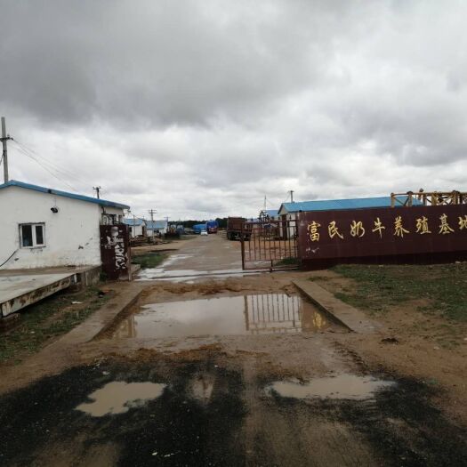 张北县货场（露天仓库）租赁 大型牛场出售
