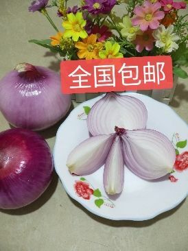 眉山 现挖零售新鲜蔬菜紫皮洋葱圆葱 快递包邮，农家自种，