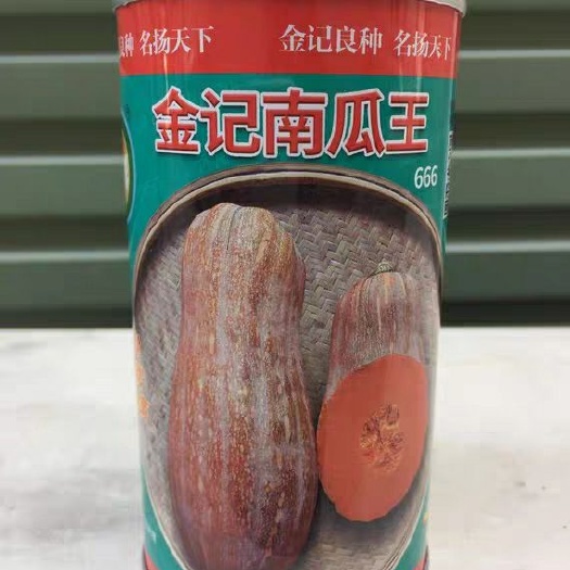南靖县蜜本南瓜种子  金记南瓜王 密本南瓜种子666