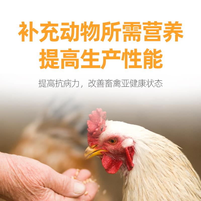 营养添加剂 家禽维生素添加剂