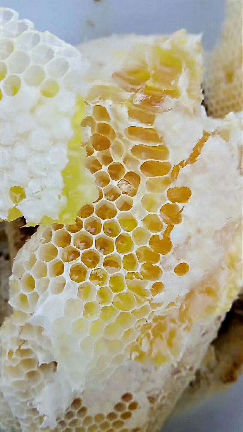  天然蜂蜜