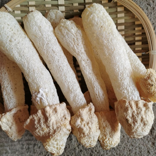 南丰县长裙竹荪/球/杆    500克净重    24年新菇靓货