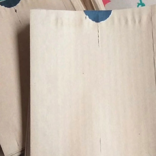 苹果套袋 苹果木浆纸袋，厂家直销，量大优惠