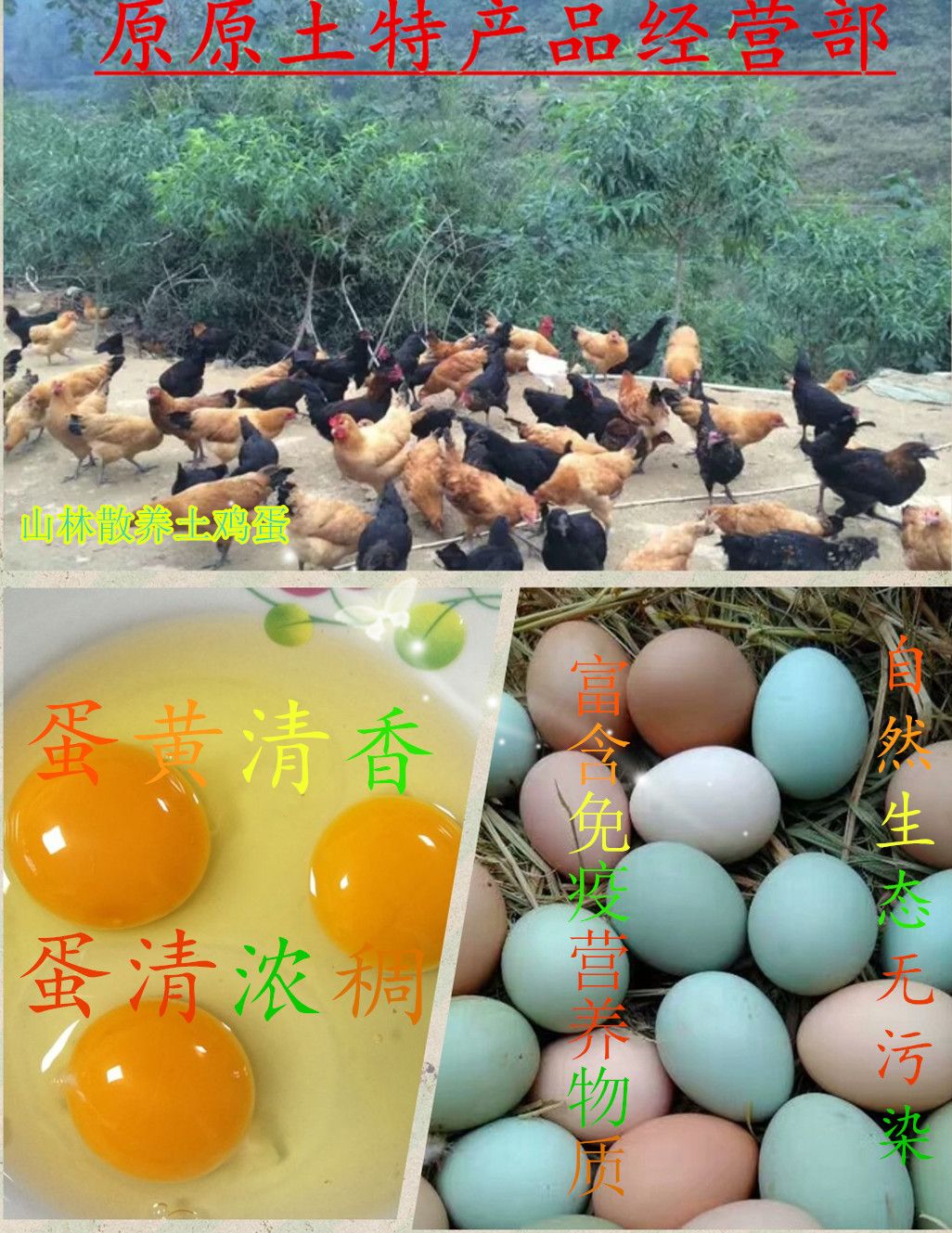 钟祥市土鸡蛋  散养全绿壳11个左右一斤