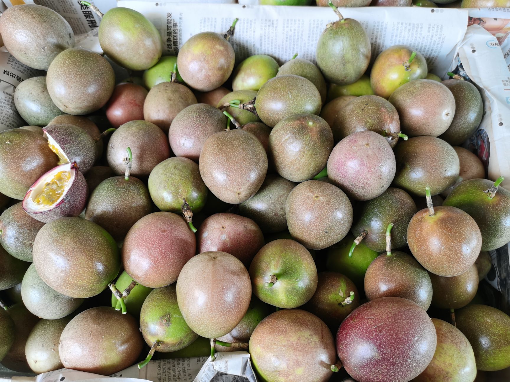 台农一号百香果 本地一级大果