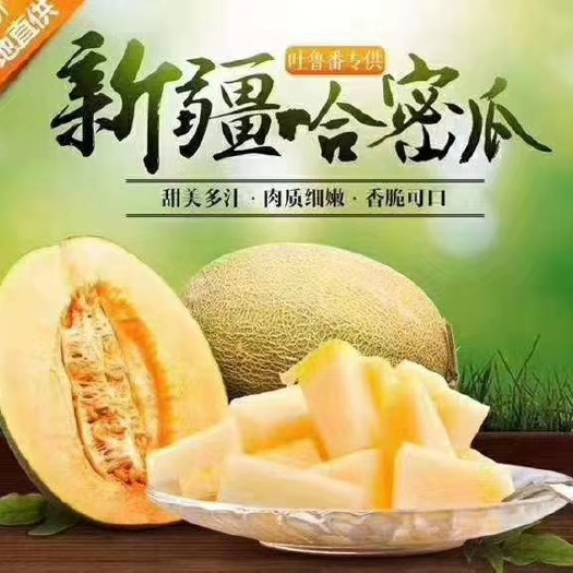 鄯善县新疆哈蜜瓜 新疆吐鲁番火焰蜜瓜原产地发货，八斤左右