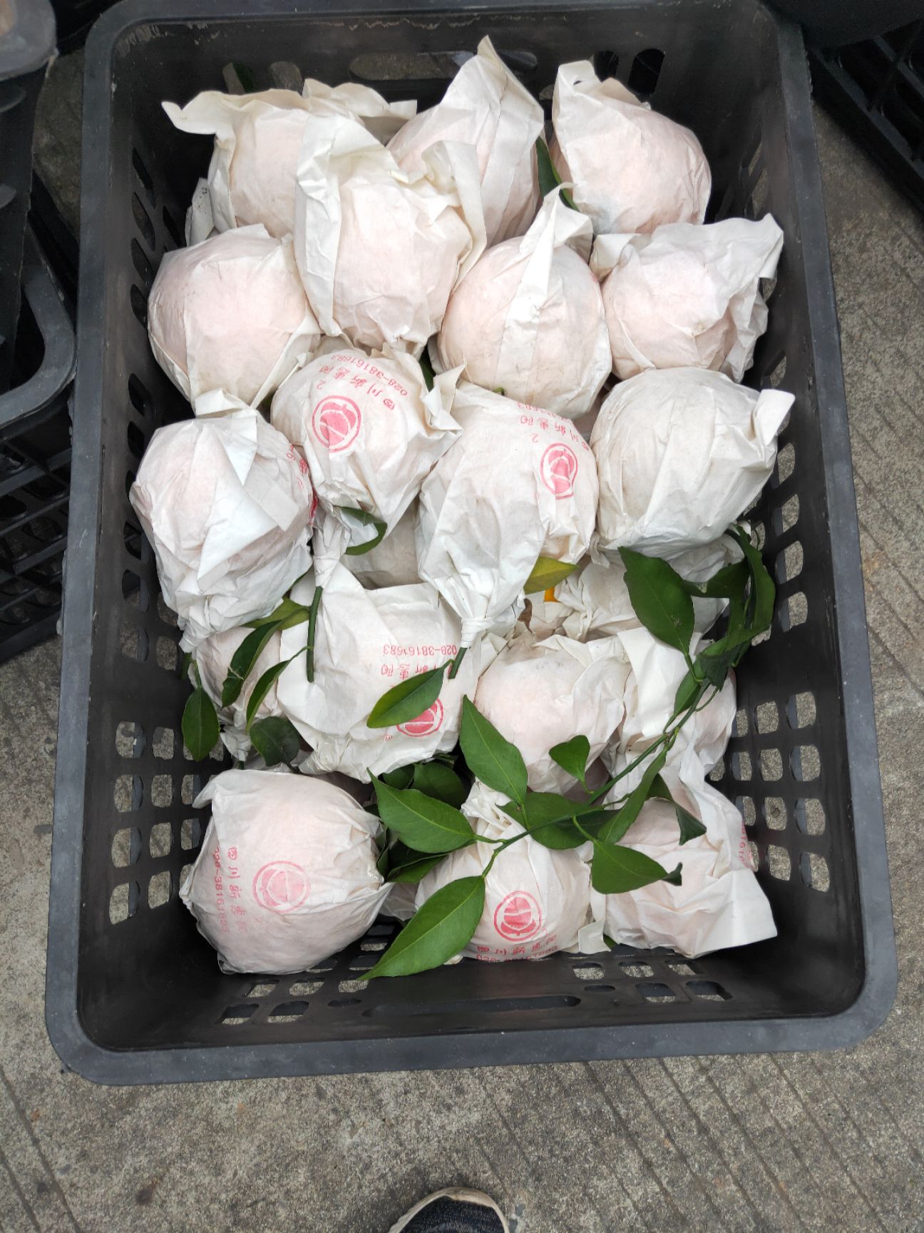  春见，耙耙柑便宜了