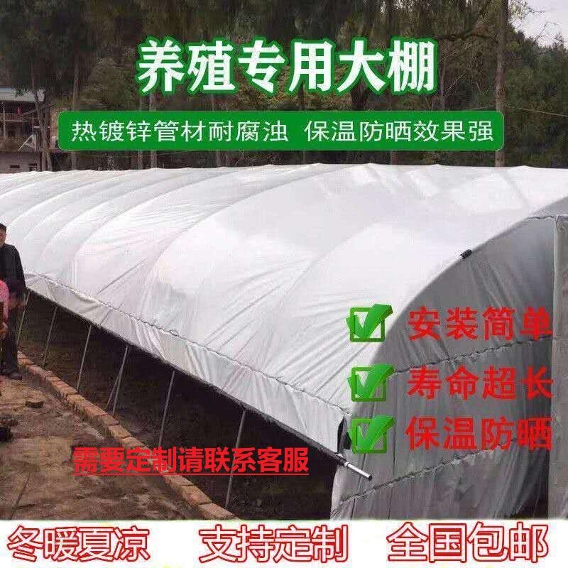 PO薄膜  供应PO膜，黑白膜，双防膜可以定做宽幅22米以内。
