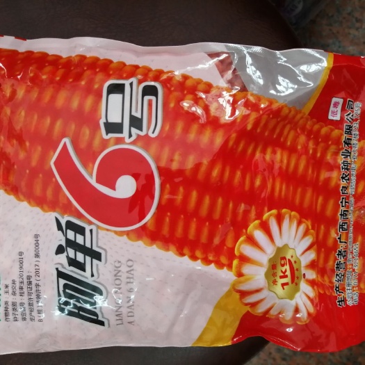 阿单6号玉米种，高产玉米，够红够大，产量高。