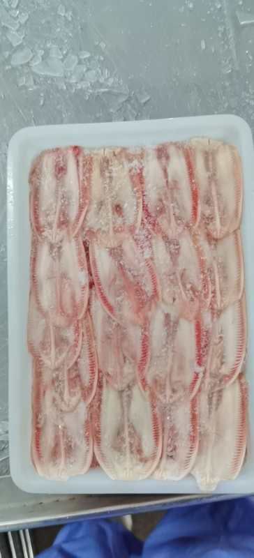 砀山县鸭杂  我们只做精品，诚信经营，量大断货价格便宜厂家直销