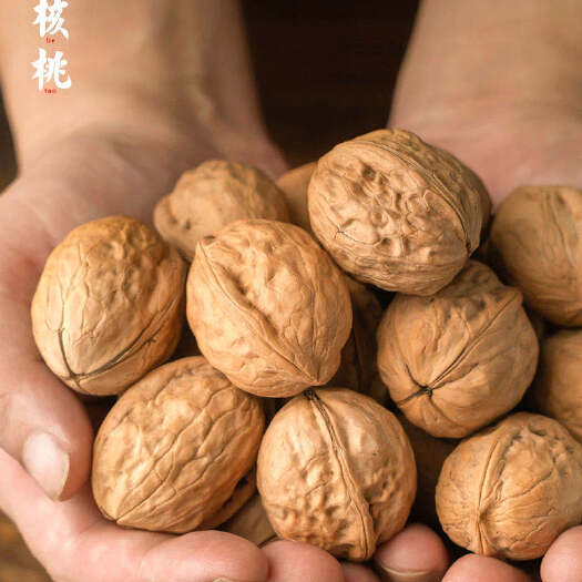 镇原县 甘肃庆阳农家核桃