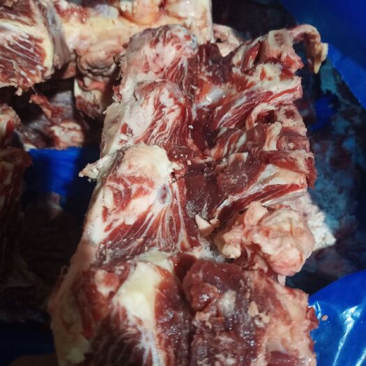 阳信县牛脊骨价格低，一手货源，几米一斤