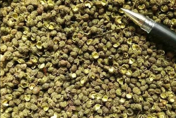 重庆市 重庆九叶青干花椒