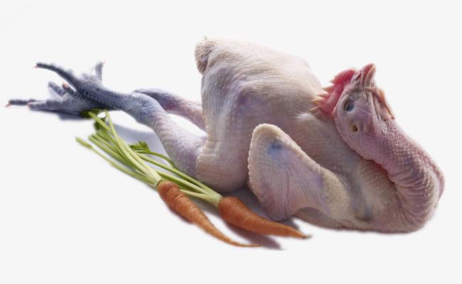 东平县 大量出售白条鸡  白条乳鸽  检疫手续齐全