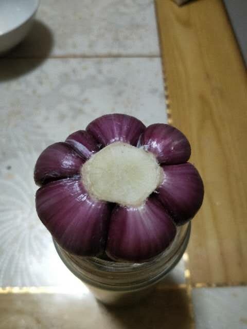 大名县紫皮蒜  太空二号优质蒜种