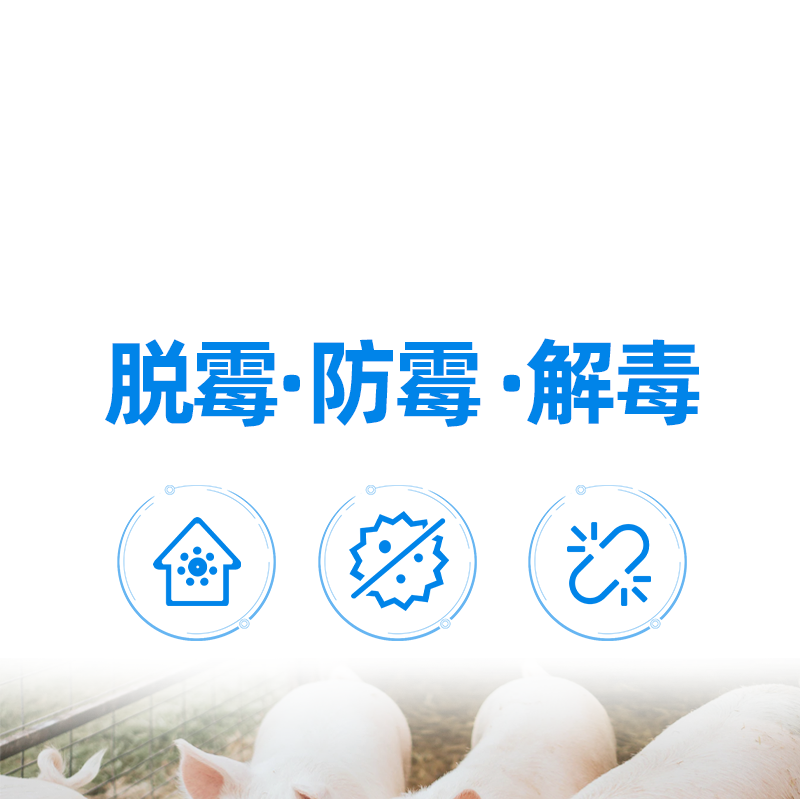  脱霉饲料添加剂