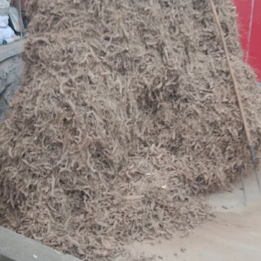 商南县姜黄  盾叶薯蓣