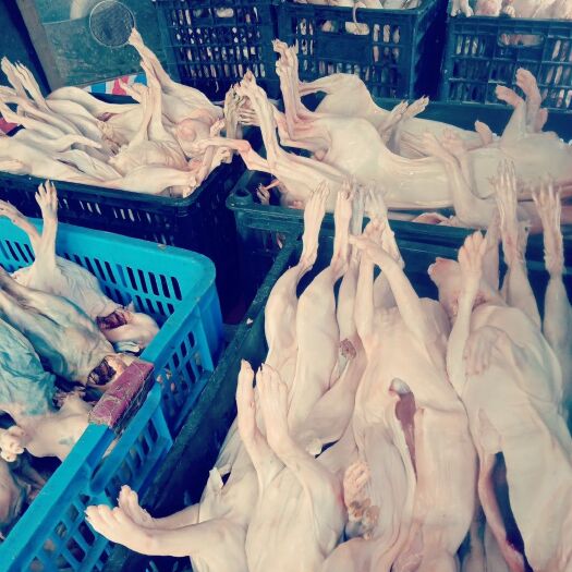 兔肉类  加工好的兔肉'