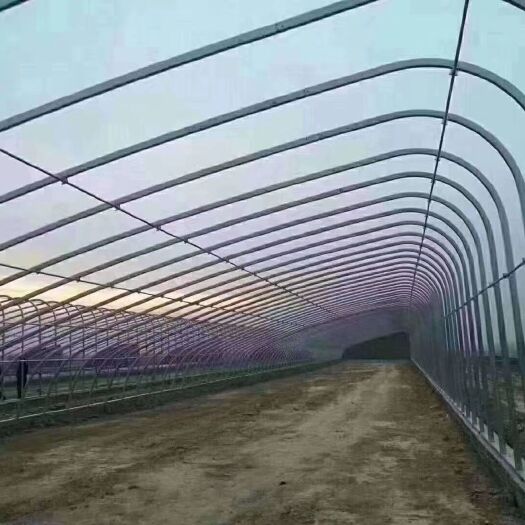 天津钢管大棚 种植棚，养殖棚，连栋棚，智能温室。实体厂家