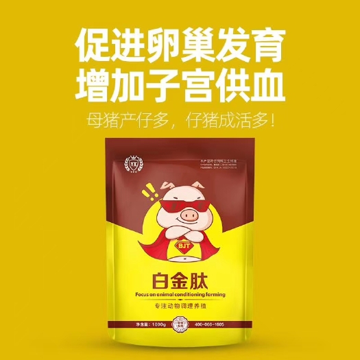 南阳营养添加剂 母猪怎样才能生小猪多，提高小猪成活数量，延长母猪使用年限