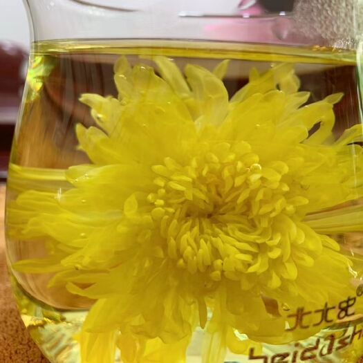 盈江县 精品金丝皇菊