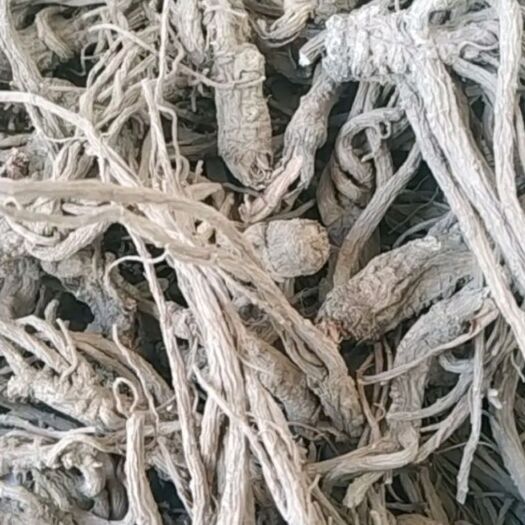 昆明 无硫当归，一手货源