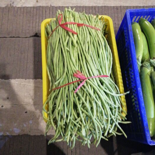 清远长豇豆 大量缸豆，青茄，青椒上市