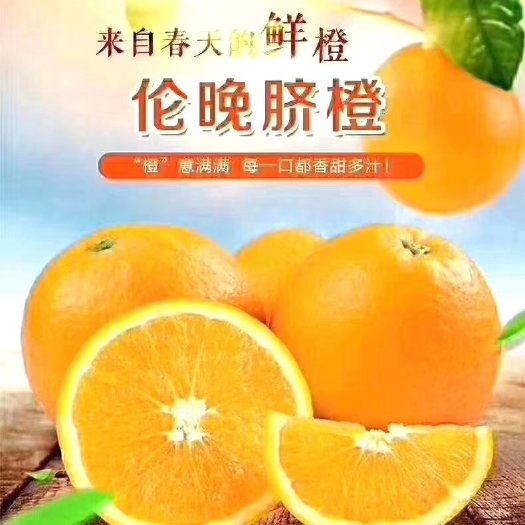 秭归县伦晚脐橙 自家农场现摘现发，不打腊，不放防腐剂，让您吃上放心水果