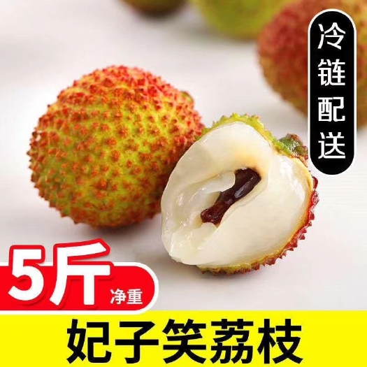 灵山县 广西灵山县妃子笑荔枝【一件包邮】