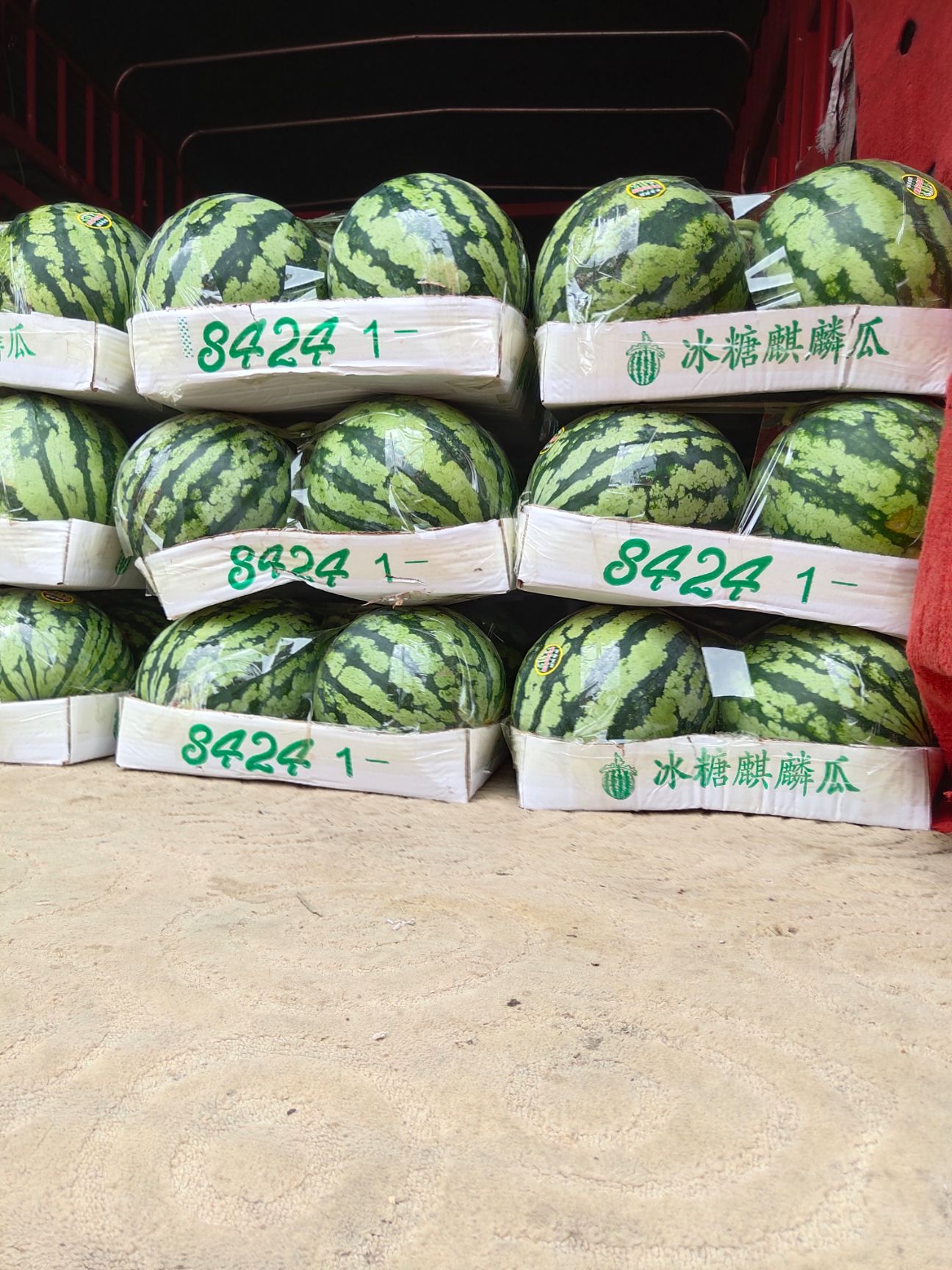 无籽西瓜 5斤打底 8成熟 1茬