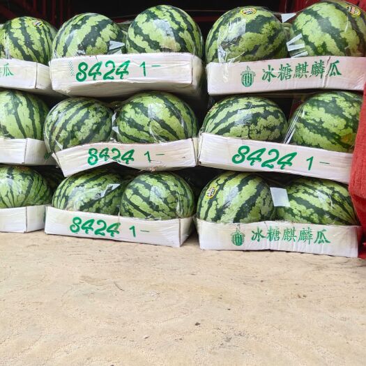 夏邑县无籽西瓜 5斤打底 8成熟 1茬