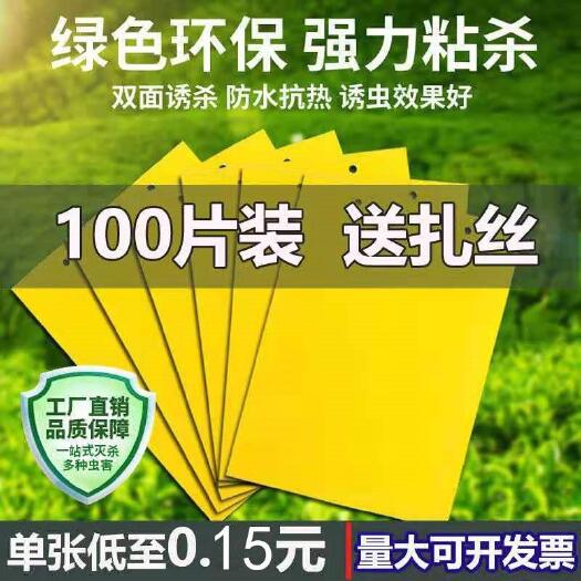 曹县 粘虫板诱虫板整箱黄板双面黏果园捕虫沾小飞虫黄色灭杀大棚粉虱类