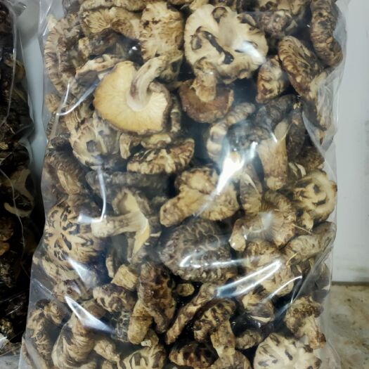 始兴县 岭南大瑶山香菇，又名木头白花菇