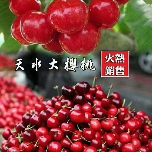 天水 天水大樱桃