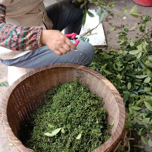 重庆市 大量青花椒开始下树了，需要的朋友感觉联系，6块一斤,50斤起